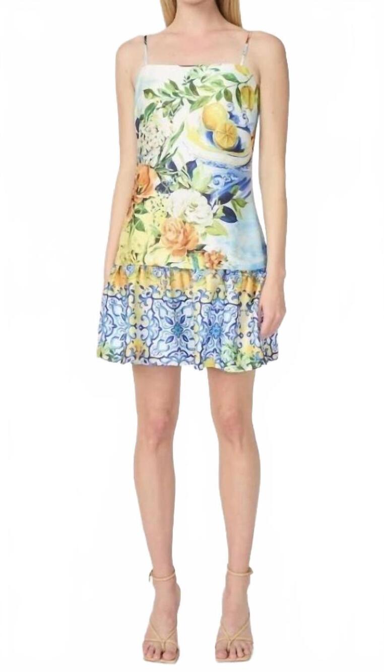 NEW GILNER FARRAR soraya dress in portofino print